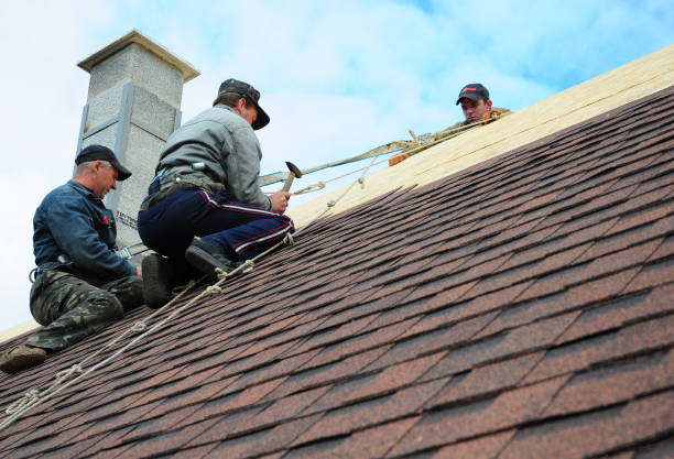 Best Roof Gutter Cleaning  in Watchung, NJ